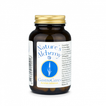 Nature'S AClhemy GastroCare+